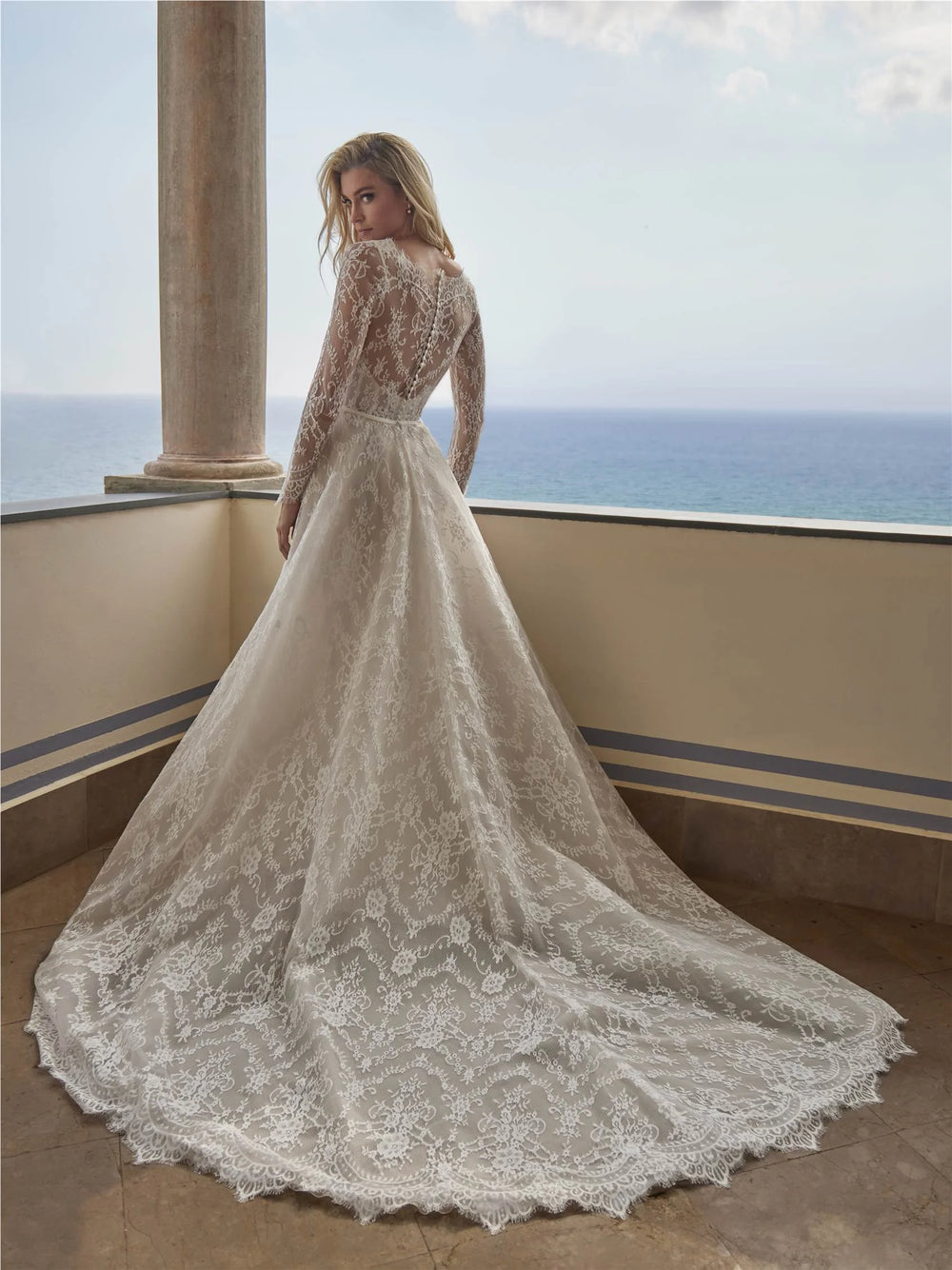 Pronovias Ati wedding dress open back view
