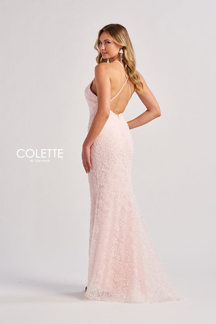 Colette: CL8655