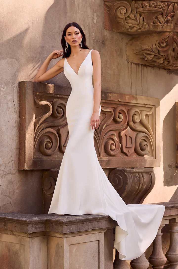 Paloma Blanca P5181 V neck with low back elegant Fit and flare Wedding Dress - Front available at Camellia Wedding Gown.jpg