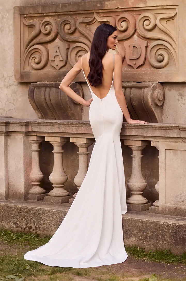 Paloma Blanca P5181 V neck with speghetti straps and low back elegant Fit and flare Wedding Dress - back 