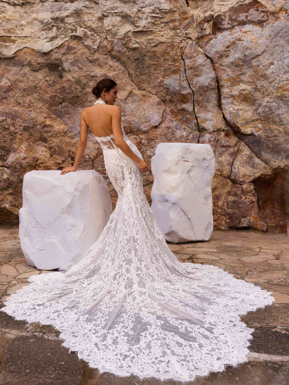 Pronovias Wonia mermaid lace wedding dress, image 2