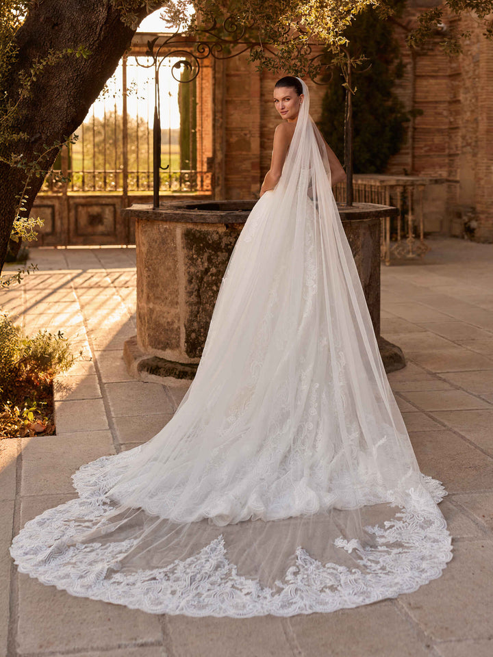 Pronovias Privée Zarland princess tulle wedding dress, image 2