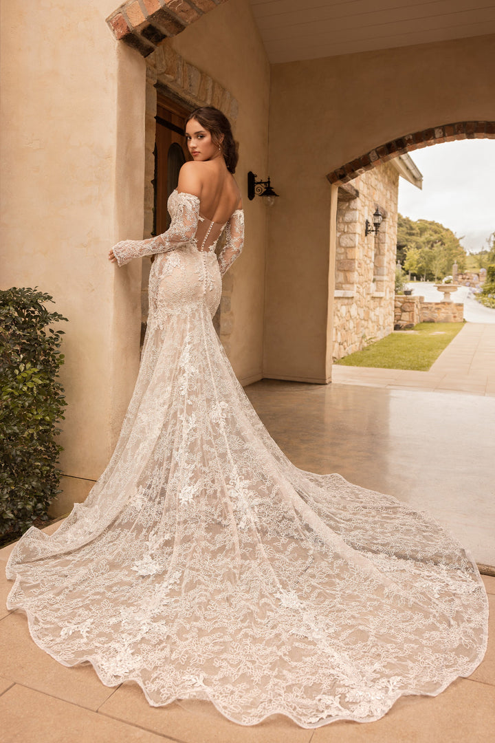 Sophia Tolli: ST643 - Clover