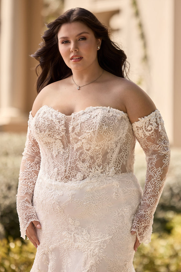 Sophia Tolli: ST643FI - Clover