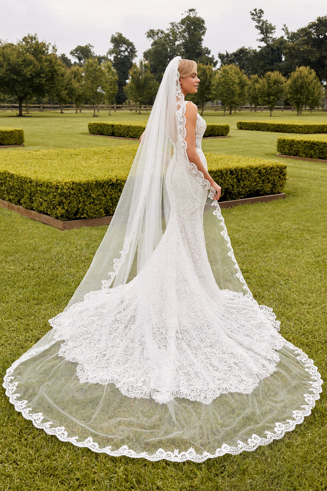 Sophia Tolli: Y22272VEIL