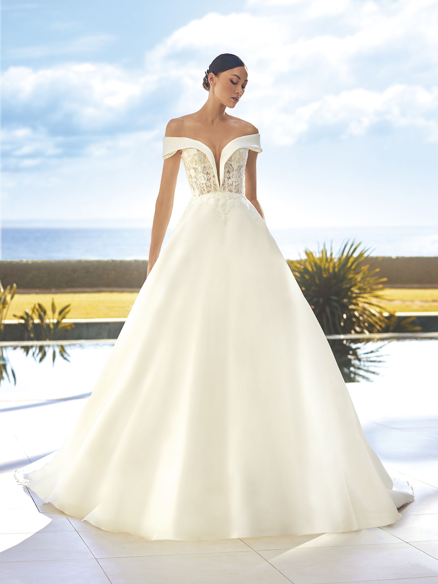 Pronovias: Aegir – Camellia Wedding Gown | Bridal Store | Wedding Dresses  in Toronto