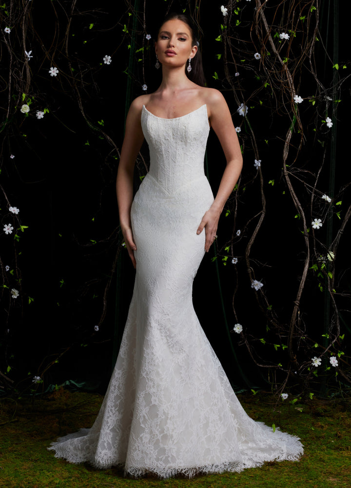 Ashley & Justin Gloria 12061D sample sale lace mermaid wedding dress with basque waist  front details view
