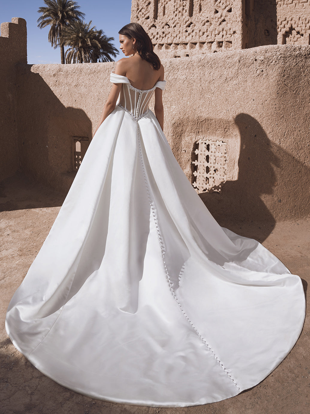 Blue By Enzoani Temina sample sale ballgown wedding dress with off the shoulder straps and structured bodice back view