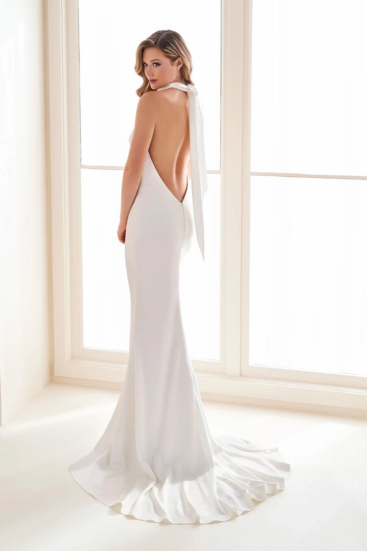 Enchanting E1007 sample sale fitted wedding dress halter neckline low back train view
