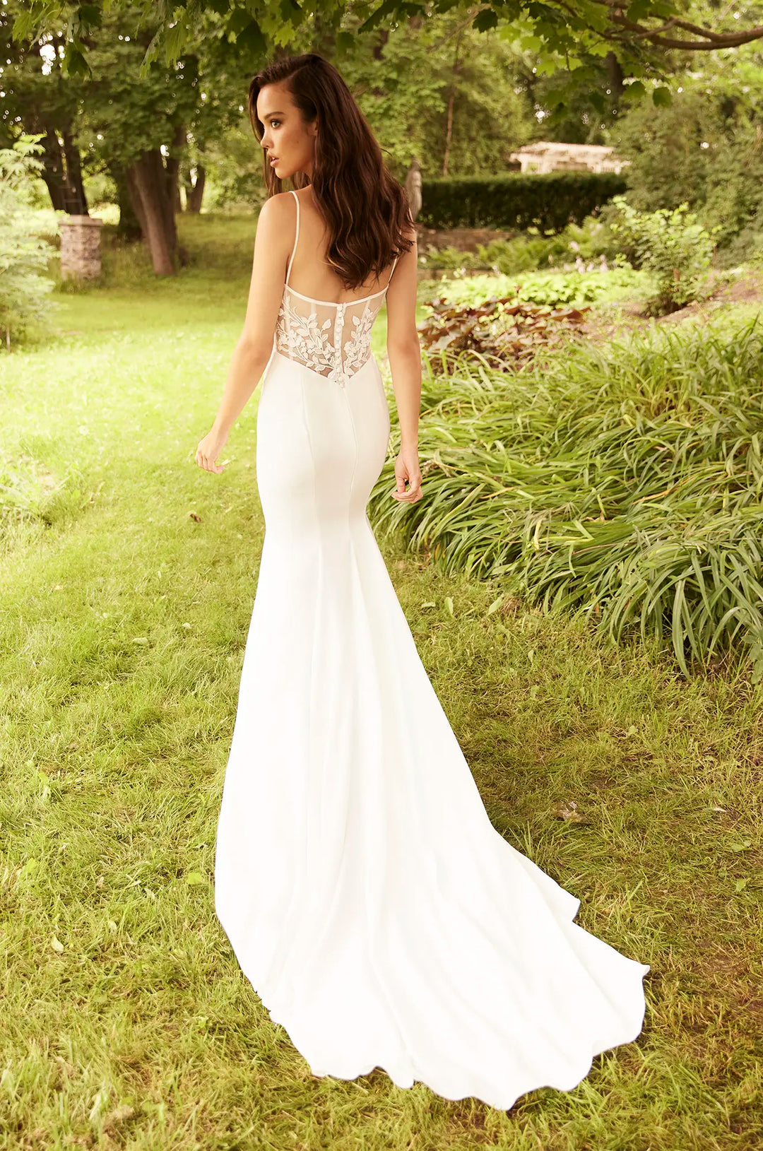 Paloma Blanca: P5079