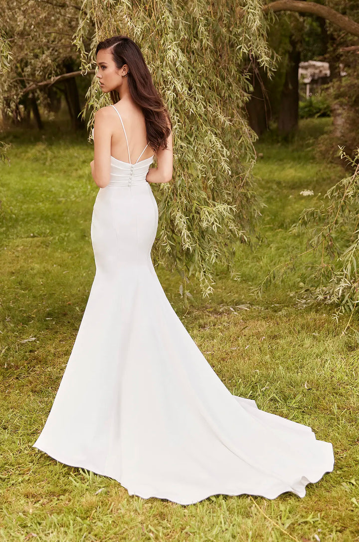 Paloma Blanca: P5088