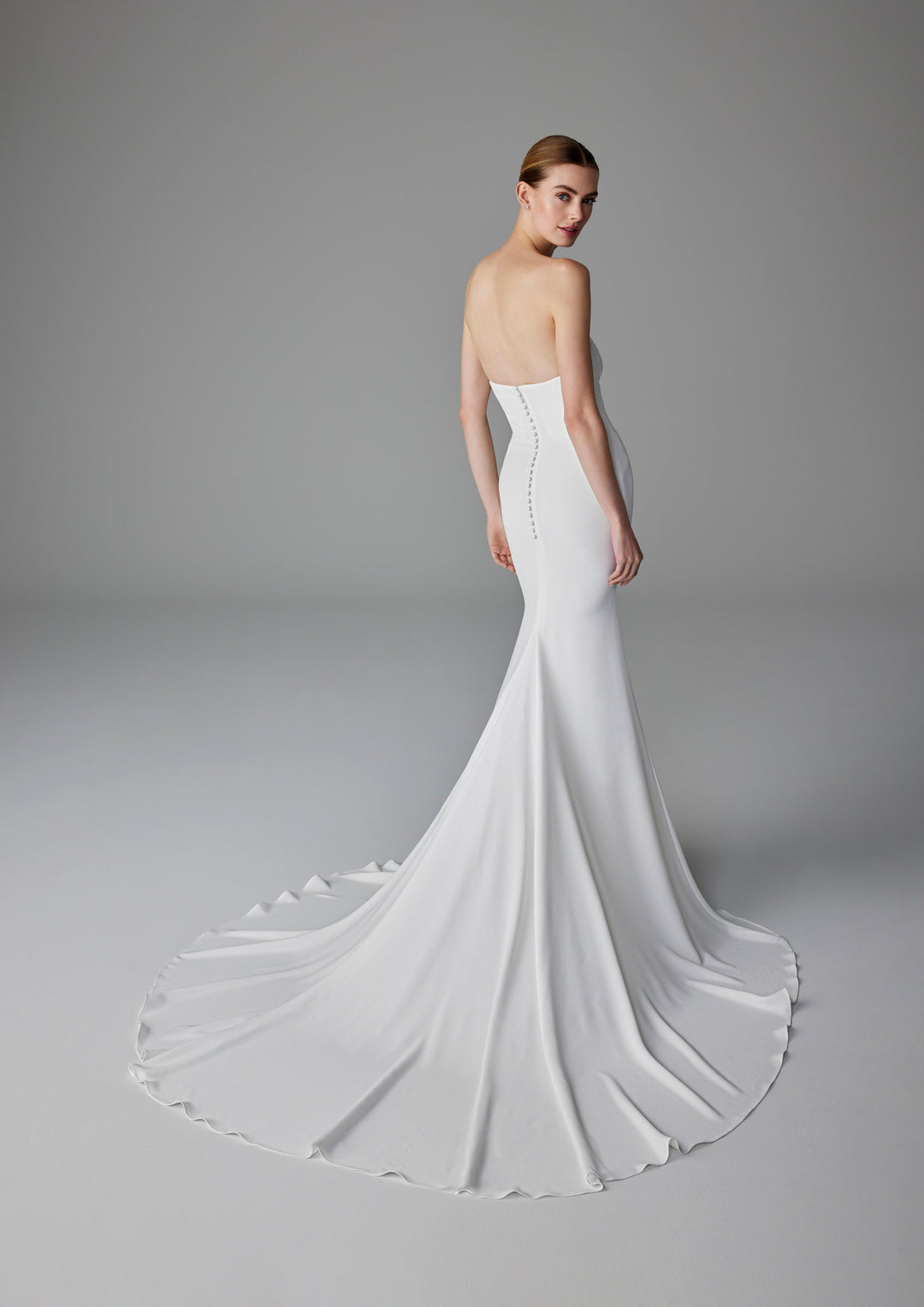 Pronovias Alexandrine fitted strapless wedding dress with structured bodice back view