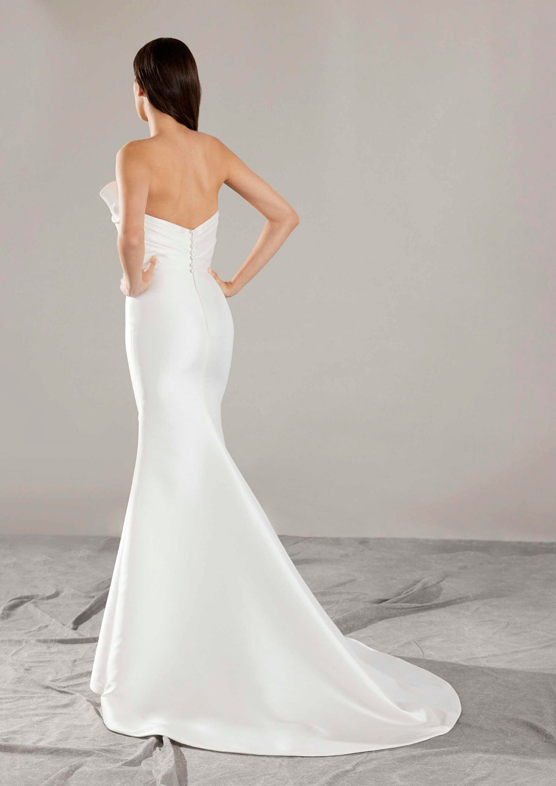 Pronovias Arya strapless mermaid wedding dress back view