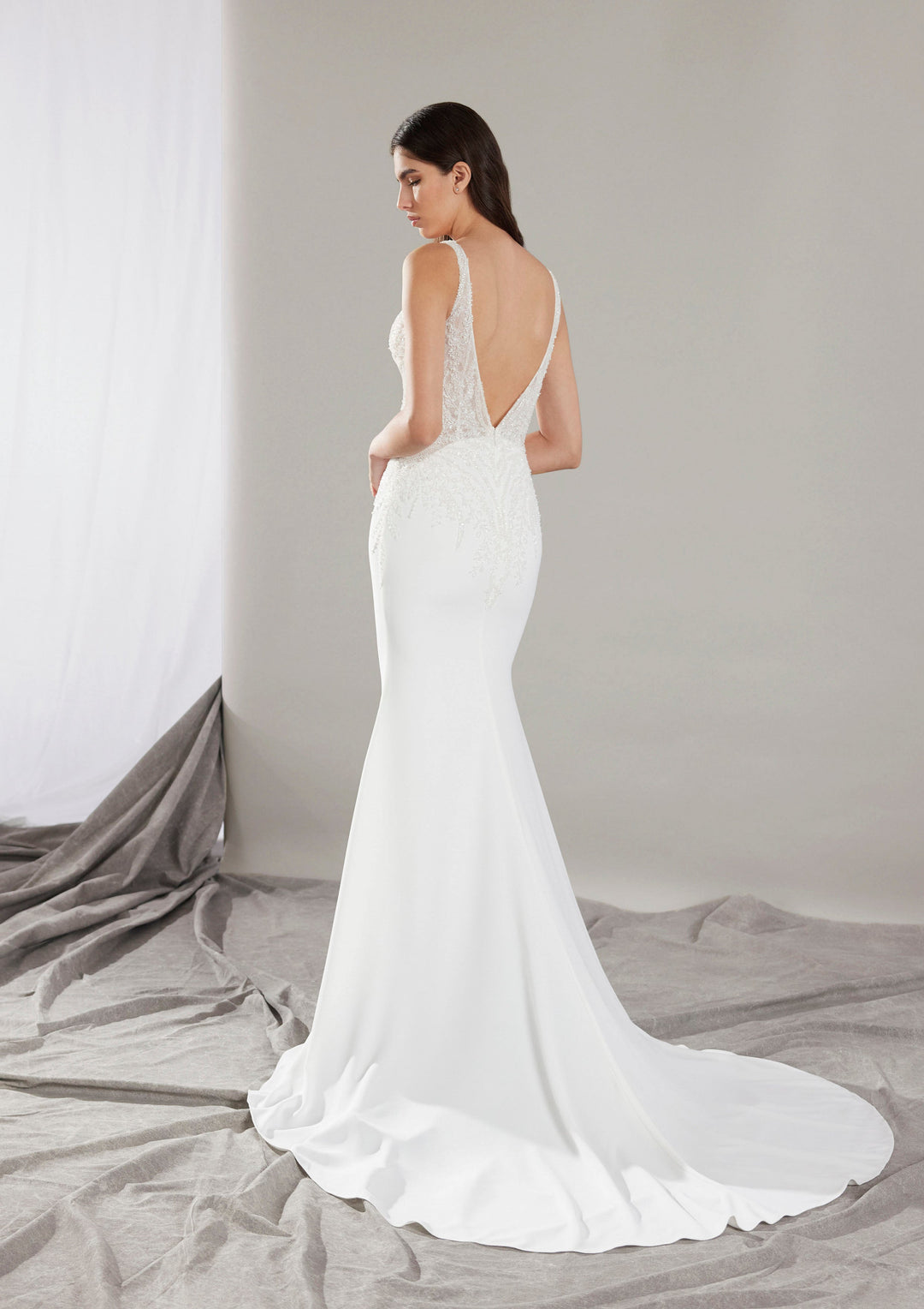 Pronovias Clin fitted wedding dress with beaded neckline and low back view