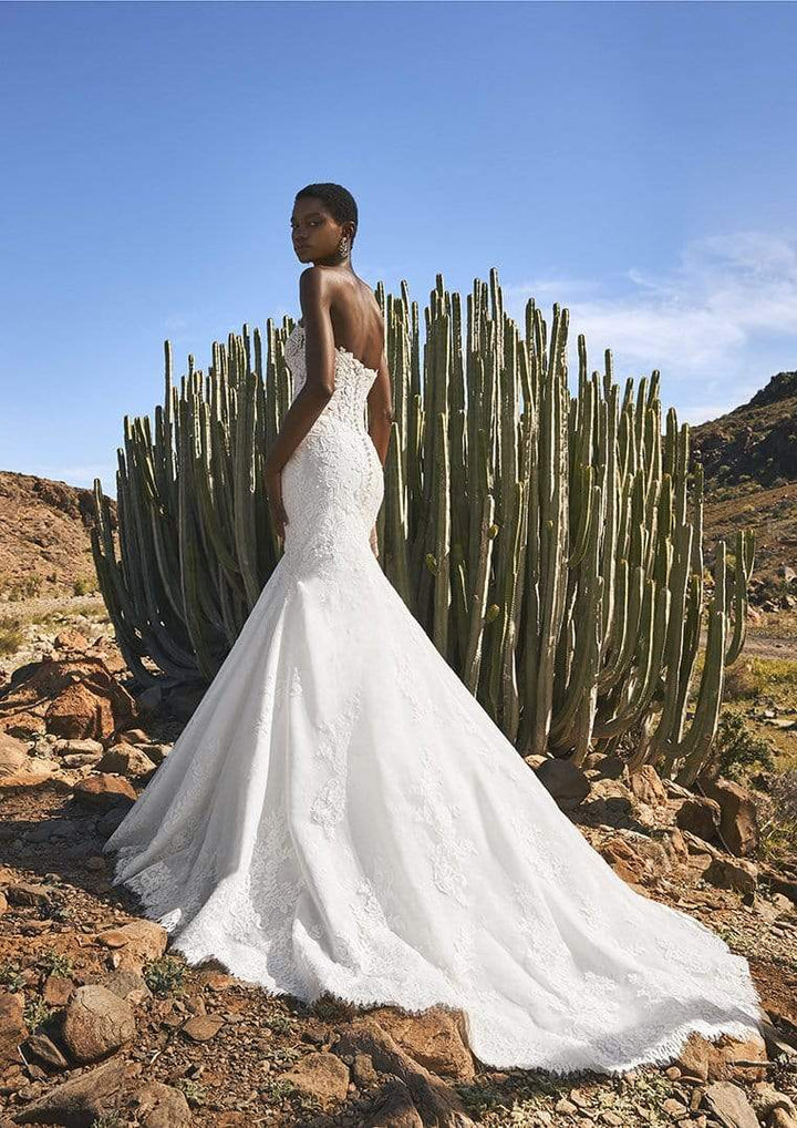 Pronovias Fingal sample sale lace mermaid wedding dress back view