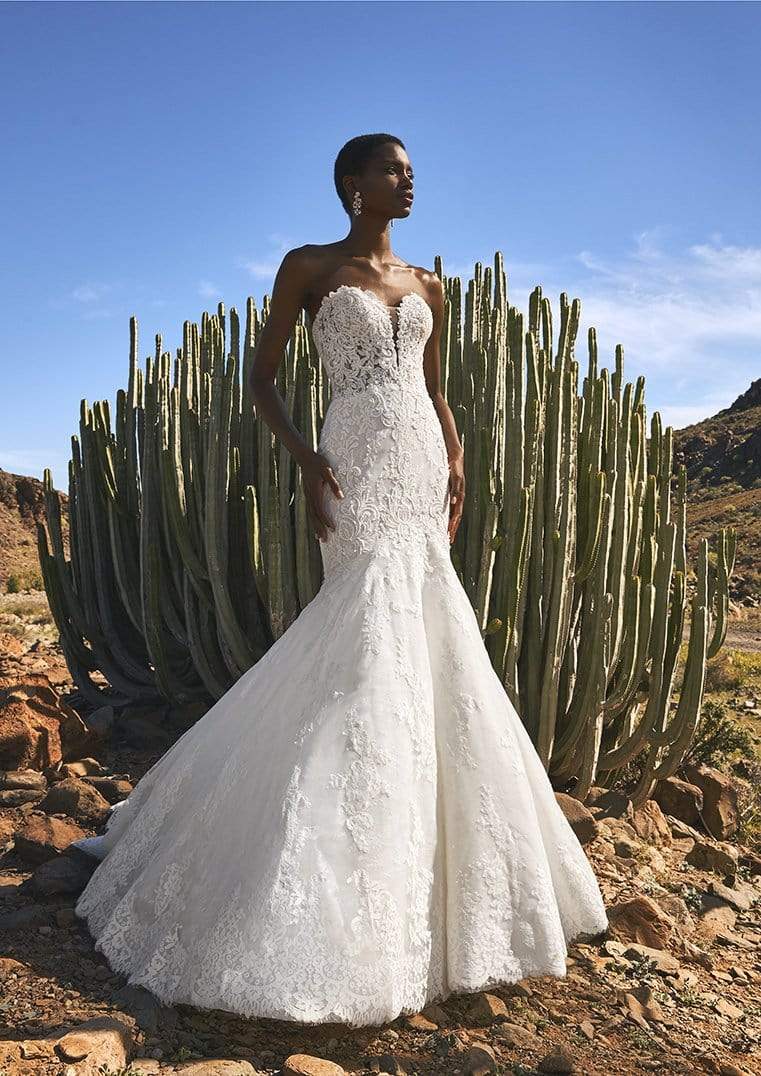 Pronovias Fingal sample sale lace mermaid wedding dress front view