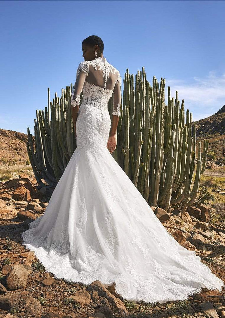 Pronovias Fingal sample sale lace mermaid wedding dress with longsleeves back view