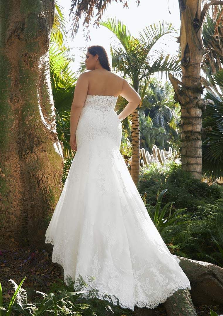 Pronovias Fingal sample sale lace mermaid wedding dress  plus size back view