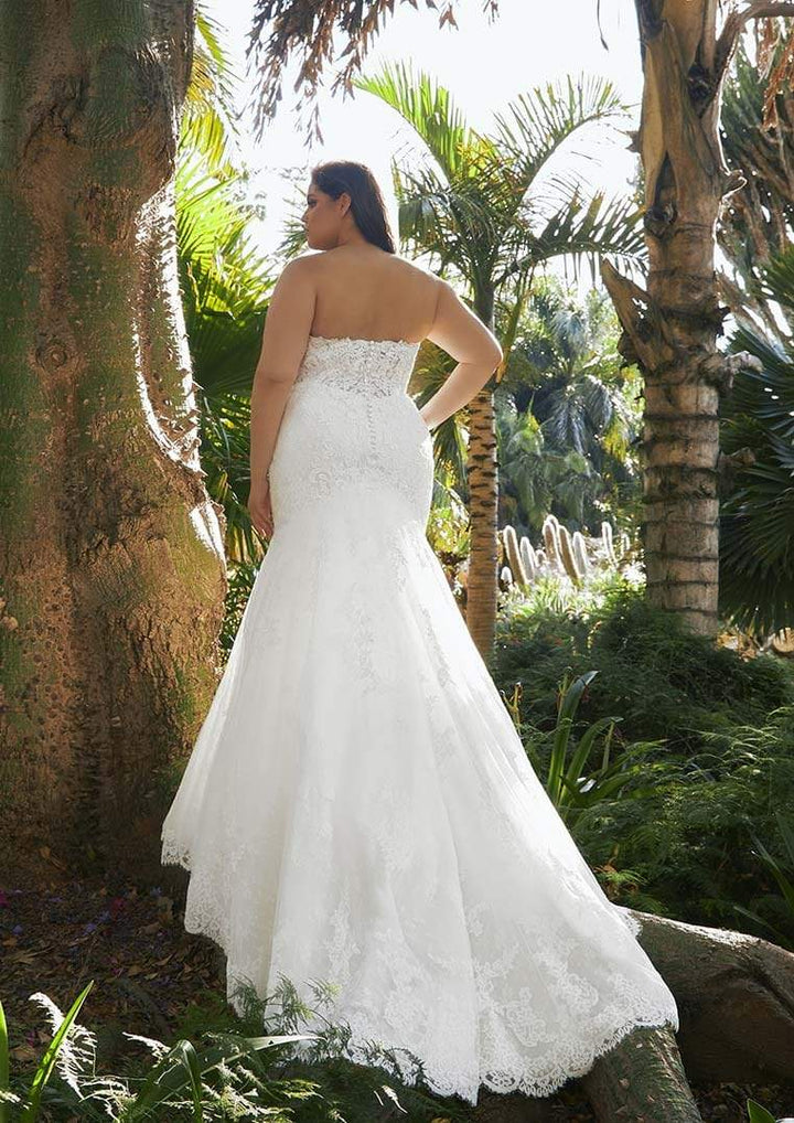 Pronovias Fingal sample sale lace mermaid wedding dress  plus size back view