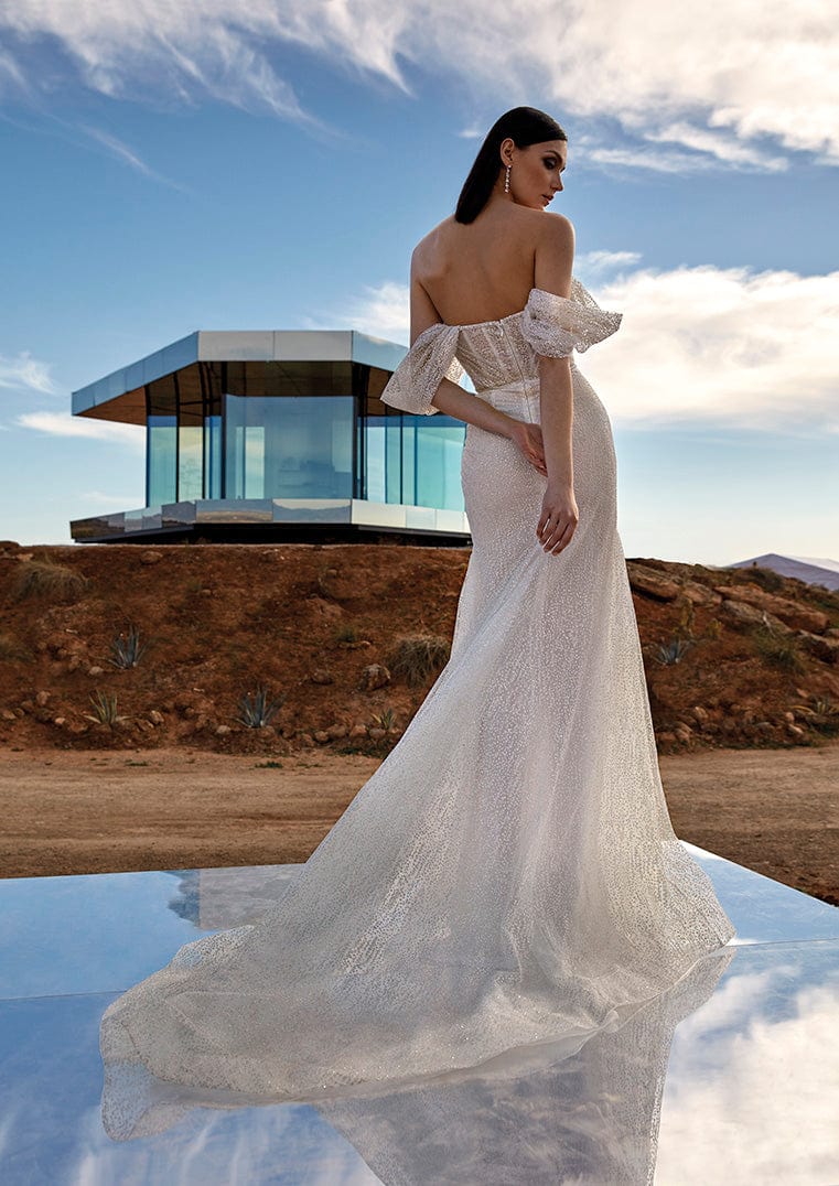 Pronovias Privee: Sparkle – Camellia Wedding Gown | Bridal Store