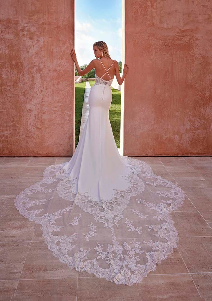 Pronovias Roanna fitted crepe wedding dress low back lace appliqué back view
