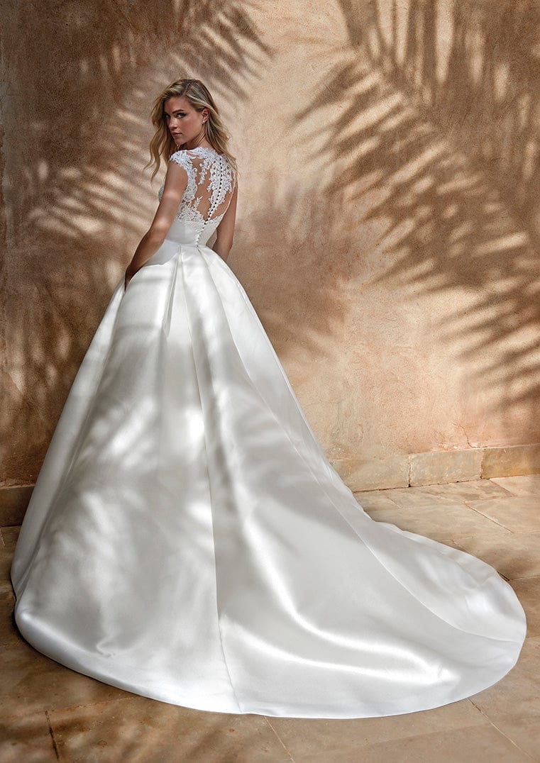 Pronovias Rodna a-line wedding dress lace cap-sleeve back view