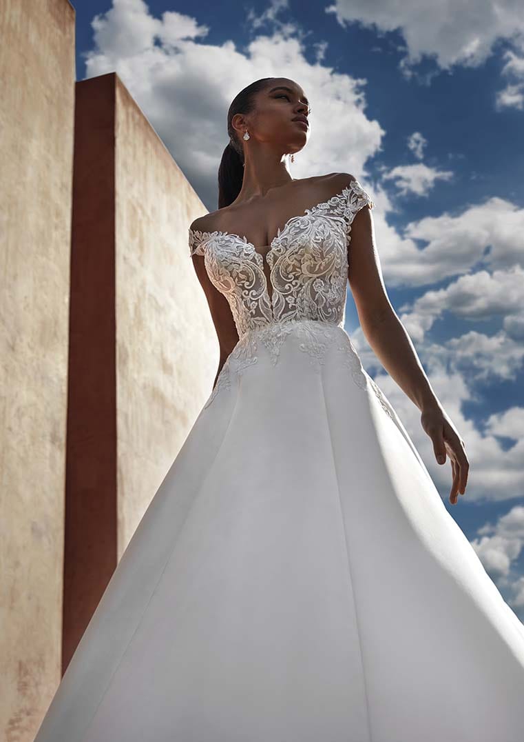 Pronovias Rosewood off-the-shoulders wedding dress with lace illusion back front details