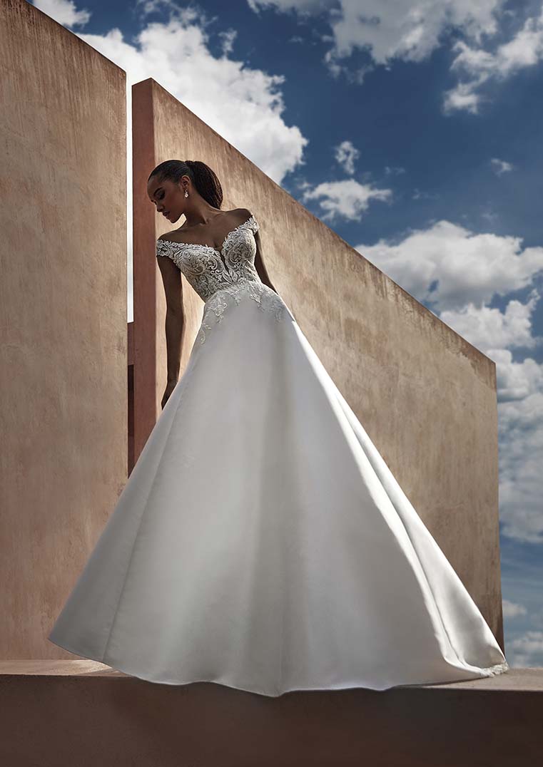 Pronovias Rosewood off-the-shoulders wedding dress with lace illusion back front view