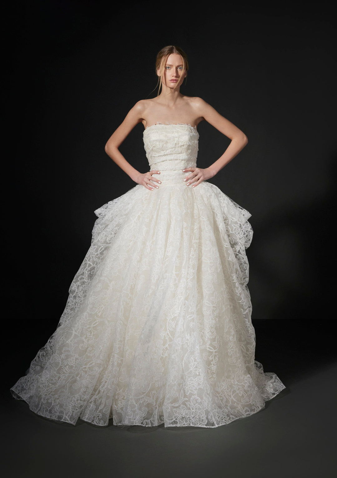 Vera Wang Wedding Dress Vera Wang: Vera Wang: Roux