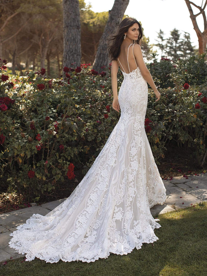 Pronovias Floriana sample sale lace wedding dress with low back view