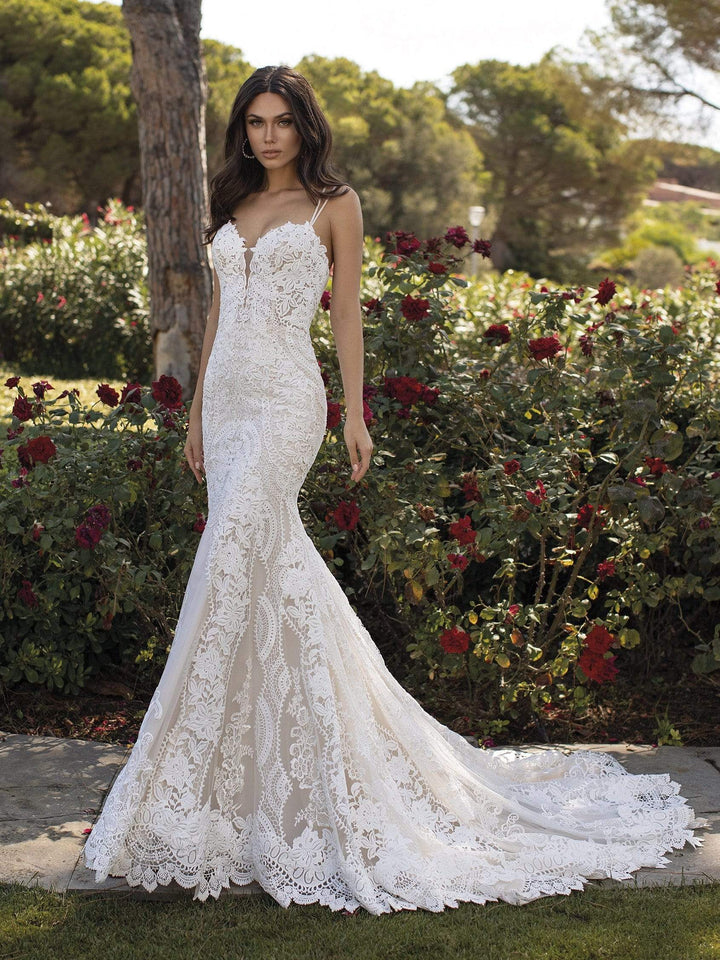 Pronovias Floriana sample sale lace wedding dress with low back front view