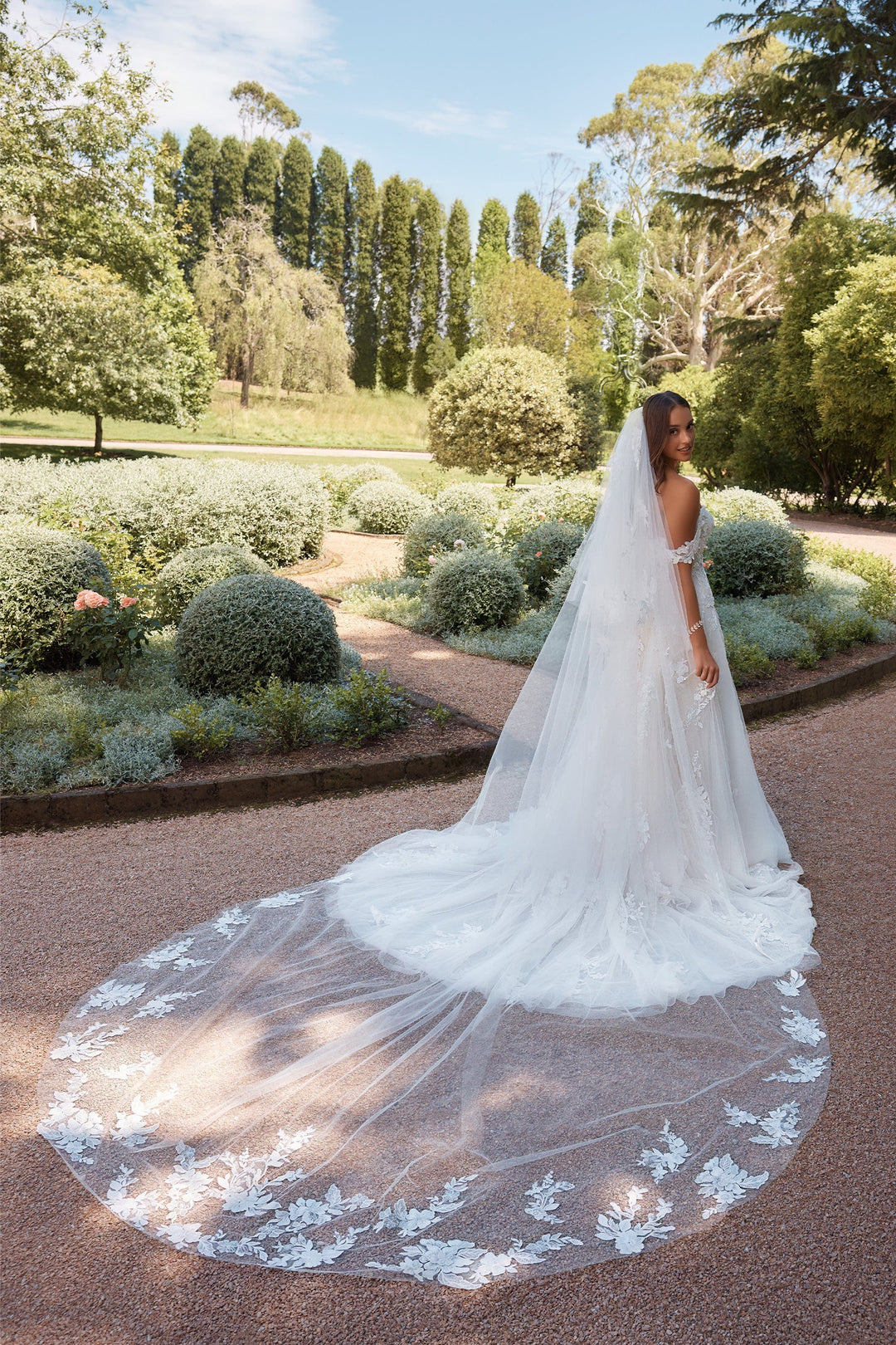 Sophia Tolli Accessories Sophia Tolli: Y3120VEIL