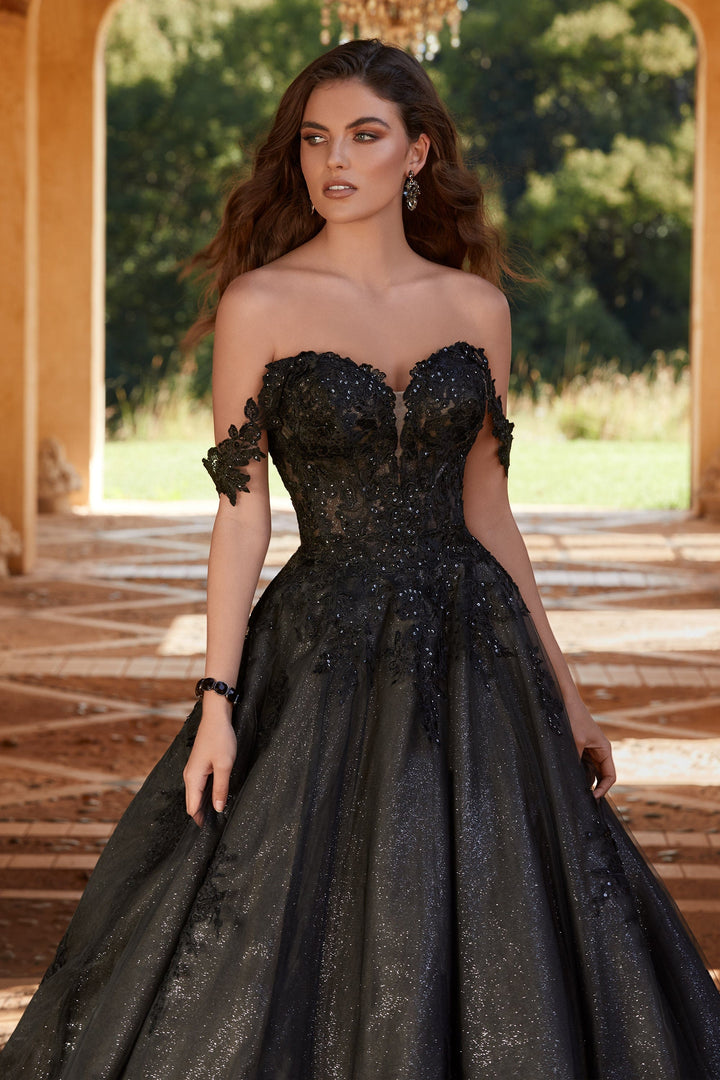 Sophia Tolli Y12248 Rebekah black wedding dress with floral lace and sweetheart neckline front details view